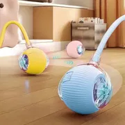Pet Toy Ball_img_8