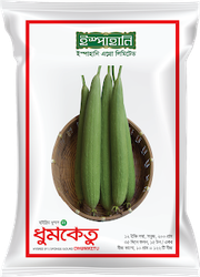 হাইব্রিড ধুন্দল ধুমকেতু। F1 Hybrid Sponge gourd seeds Dhumketu_img_0