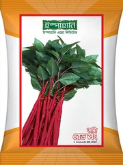ইস্পাহানের রেড লং ডাটা ।   S.  Amaranth Red Long_img_0