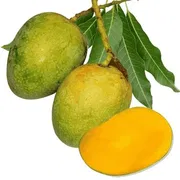 Mango Gopal Bhog 1kg_img_0