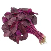 Red Spinach (Lal Shak) - 1 bundle_img_0