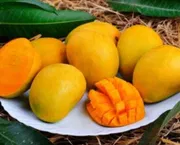 আম (বারি-৪🥭) কেমিক্যাল/কার্বাইড মুক্ত_img_0