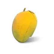 আম (লক্ষণভোগ/লকনা🥭) কেমিক্যাল মুক্ত_img_1