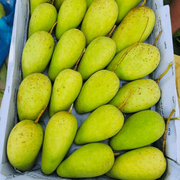 আম (কাটিমন🥭) কেমিক্যাল/কার্বাইড মুক্ত_img_1