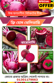 উচ্চ ফলনশীল জাতের বারো মাসি বিটরুটের বীজ_img_0
