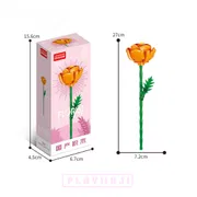 Ranunculus Flower_img_0