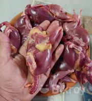 Fresh/Quail.Meat._img_2