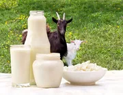 Fresh organic Raw GOAT Milk._img_2