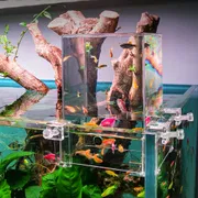 Vertical negative pressure aquarium_img_0
