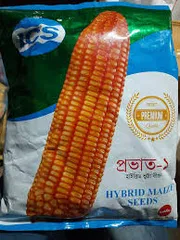 হাইব্রিড ভুট্টার বীজ প্রভাত -১ ( ৫৫ সেগমেন্ট ) । Hybrid corn seed Prabhat 1 or Povat 1 ( 55 segment )_img_0