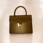 Ladies Handbag_img_1
