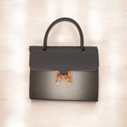 Ladies Handbag_img_3