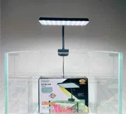 CoCo X1 plus (13 watt)_img_0
