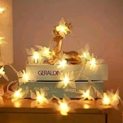 Butterfly LED Lights🦋_img_4