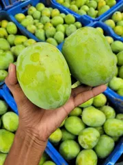 রাজশাহীর অর্গানিক ল্যাংড়া আম (Lengra Mango)_img_4