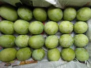 রাজশাহীর অর্গানিক ল্যাংড়া আম (Lengra Mango)_img_7