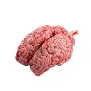 Khashir Mogoj ( Mutton Brain ) 1 Pc_img_0