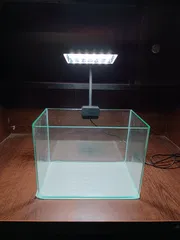 Curved glass fish tank (10x6x7)_img_1