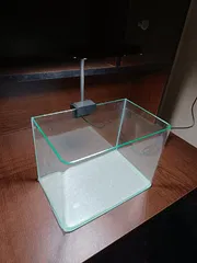 Curved glass fish tank (10x6x7)_img_0