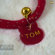 Nameplate collar_img_8
