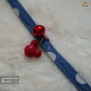 Collar_img_1