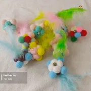 Soft ball_img_0