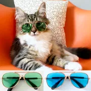 Aviator Shape sunglass_img_0