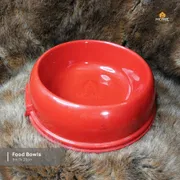 Food bowl_img_0