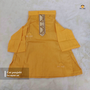 2.3 kg cat panjabi_img_0