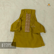 800 gm Cat panjabi_img_0