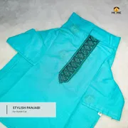800 gm Cat panjabi_img_0