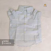 2.5 kg cat shirt_img_0