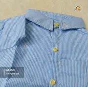 2.5 kg cat shirt_img_0