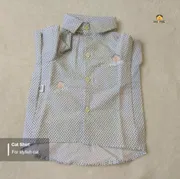 2.5 kg cat shirt_img_0