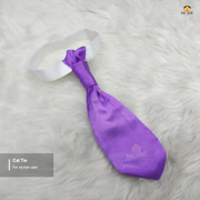 Cat tie_img_0