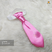 cat tie_img_0