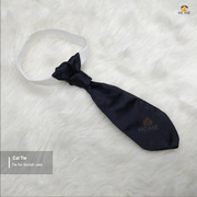 cat tie_img_0