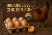 Organic Country Hen Egg_img_1