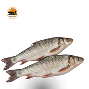 Fresh Rohu Fish –_img_0
