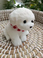 Silicone Soft toy_img_3
