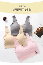 Women‘s Ice Silk Seamless Bra Sports Push Up Underwear Transparent Mesh GathersBralette Plus Size Comfortable Elastic Bralette_img_0