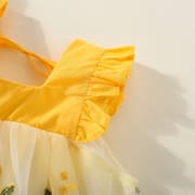 Baby Girls Ruffle Sleeve Floral Embroidered Summer Princess Dress (6 Months to 3 Years)_img_4