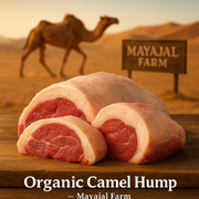 Organic Camel hump._img_0