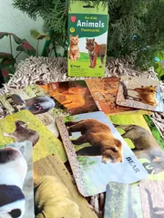 Animal Fruits Flash Card_img_1