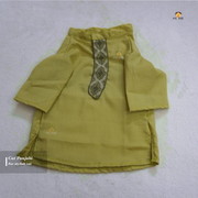 4, kg cat panjabi_img_1
