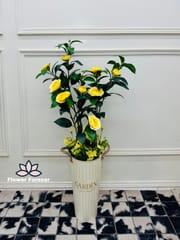 Camellia Flower Plant with Pot (buy 2 at the price of 4400bdt)_img_1