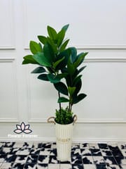 Artificial Banyan Plant (buy 2 at the price of 4400bdt)_img_0