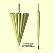 Creative retro umbrella - Premium Quality Exclusive Design 16 Bone Automatic Open Umbrella - straight rod, anti-storm, business class, double -handed long -handled_img_5