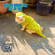 Dragon hoodie (5 kg)_img_3