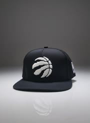 Premium Raptors Logo Cap – Shadow Eclipse & Silver Mist | High-Quality Embroidered Unisex Sports Hat_img_4